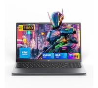 ACEMAGIC 2025 LX15 Laptop, 15.6-inch FHD (1920 x 1080) Display, Intel N197(4C/4T) Processor, 8GB DDR4 RAM, 256GB SSD, Windows 11 Pro, WiFi5, BT5.0, 38Wh Battery, Gray