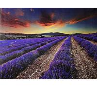 Acense Tempered Glass Worktop Saver, Toughened Glass Chopping Board with Smooth Edges, Rounded Corners, Non-Slip Rubber Feet, Multi-Purpose, Stain-Resistant, 40 x 30 cm, Multicolor