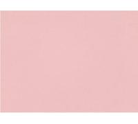 Acense Tempered Glass Worktop Saver, Toughened Glass, Smooth Edges, Rounded Corners, Chopping Board, Non-Slip Rubber Feet, Multi-Purpose, Stain-Resistant 40 x 30 cm (Dusky Pink)