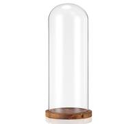 AceOrbit 16 Inch Glass Dome Cloche Display with Wood Base, Clear Tall Glass Dome, the Bell Jar Clear Cloche for Plants, Curios, Keepsakes, Heirlooms