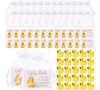 AceOrbit 24 Sets Little Duck Pocket Charm with Story Card Mini Hug Duck Pocket End of Year Gift Inspirational with Card Good Luck Charm for New Job, Women, Friends Thank You Gift
