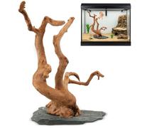 AceOrbit Natural Large Spider Wood Driftwood, 8.5-11.5 Inch Natural Aquarium Driftwood Spiderwood on Slate Stone Aquascaping Wood for Aquarium, Terrarium, Vivarium, Reptile Tank, Fish Tank Decoration