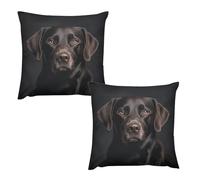 ACEPrints Decorative Throw Pillow Covers Set of 2 Breathable Couch Pillow Covers Black Lab Dog Throw Pillows Case Square Soft Cushion Cover Pillowcases 22 "x22 Hidden Zipper