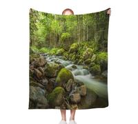 ACEPrints Magical Soft Warm Lightweight Blankets Cozy Blankets Magical Stream in The Heart of The Green Cozy Blanket for Couch,Bed,Office & Travel All Season Comfort 30x40 Inch