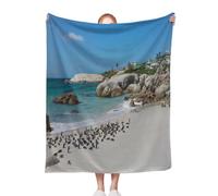 ACEPrints Ocean Soft Warm Lightweight Blankets Cozy Blankets Penguins by The Ocean in South Africa Cozy Bed Blankets Throws for Living Room Decor 60x80 Inch