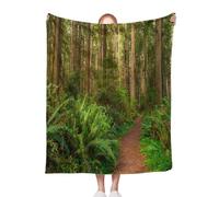 ACEPrints Soft Warm Lightweight Blankets Cozy Blankets Giant Trees and A Hiking Path in Redwood Cozy Blanket for Couch,Bed,Office & Travel All Season Comfort 60x80 Inch