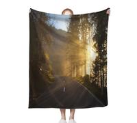 ACEPrints Sunlight Soft Warm Throw Blankets for Couch Sunlight Beams Cutting Through Mountain Road Switzerland Bed Living Room Sofa Couch Birthday Decor 30x40 Inch