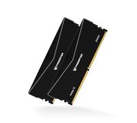 Acer Predator PALLAS II DDR5 6000MHz 32GB (16GBx2) RAM CL30 Intel XMP 3.0 & AMD EXPO Compatible Computer Memory PC5-48000 Black - BL.9BWWR.433