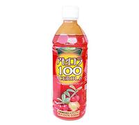 Acerola 100 (100% Fruit Juice) 500mlX24 This