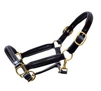 Aces Equine LEATHER HORSE HEADCOLLAR HALTER FULLY RAISED AND PADDED BLACK COLOR BRASS FITTING (X-FULL)