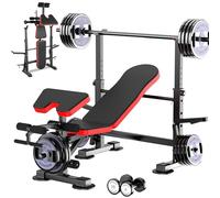 Aceshin 660lb Olympic Weight Bench, Adjustable Workout Bench with Squat Rack, Multifunctional Weight Bench with Preacher Curl & Leg Developer, Bench Press Set for Home Gym