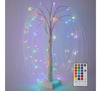 ACESOME 60CM LED Willow Tree Light, 16 Color Dimmable Remote Control Twig Lights, USB+Battery Power Twinkling Branch Lights, Tree Light Indoor for Wedding, Party, Christmas, Home Decoration