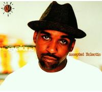 Aceyalone - Accepted Eclectic