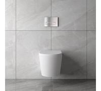 Acezanble Bathroom White Ceramic Rimless Wall Hung Toilet & Soft Close Seat Modern WC Pan