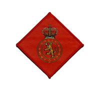 ACF Adult CFAV TRF - Tactical Recognition Flash