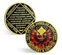 ACGZQY Na Medallion - 3 Years Phoenix Na Sobriety Chip Reborn from Fire NA Medallions Sober Coin Narcotics Anonymous Recovery Addiction Token NA Gifts