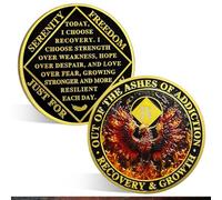 ACGZQY Na Medallion - 4 Years Phoenix Na Sobriety Chip Reborn from Fire NA Medallions Sober Coin Narcotics Anonymous Recovery Addiction Token NA Gifts