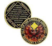 ACGZQY Na Medallion - 4 Years Phoenix Na Sobriety Chip Reborn from Fire NA Medallions Sober Coin Narcotics Anonymous Recovery Addiction Token NA Gifts