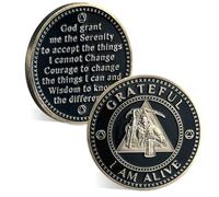 ACGZQY Sobriety Chip, Grateful I Am Alive Ferryman AA Coin and Medallions Sobriety Coin Recovery Token with Serenity Prayer Sobriety Gifts