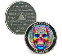 ACGZQY Sobriety Chip, Grateful I Am Alive Skull AA Coin and Medallions Sobriety Coin Recovery Token with Serenity Prayer Sobriety Gifts