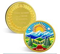ACGZQY Sobriety Chip - Sunrise of Renewal Sobriety Coin NA AA Coin and Medallion Sober Chips Sober Anniversary Token Sobriety Gifts Alcoholics Anonymous Recovery
