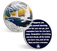 ACGZQY Winter Sobriety Coin- Recovery Seasonal Landscapes AA Chips and Medallions Sobriety Chip Sober Token Narcotics Alcoholics Anonymous Recovery Gift