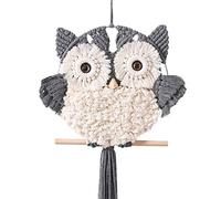 Achart Owl Macrame Wall Hanging-Hand Woven Boho Tapestry-Boho Wall Decor-Owl Decor for Living Room Nursery (Grey)