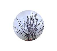 AchidistviQ Christmas 20LEDs Artifical Willow Branch Metal Wire Lamp LED Light for Wedding Party ChristmasTree Home Bedroom Living Room Decoration White