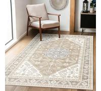 Achiiso Washable Area Rugs,60x90cm Small Rugs for Living Room-Low Pile,Boho Soft Bedroom Rug,Non Slip Short Pile Rug for Dining Room, Entryway,Dorm, Office, Lounge,Light Cream Beige
