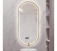 ACHZYFT Oval Wall Mirror,Bathroom Mirror With LED Lights,Decorative Mirror,Metal Frames,Dimmable,Anti-fog,3-colour Light,Time,IP44,HD,Explosion Proof(Size:40cm*60cm,Color:gold)