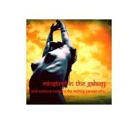 Acid Mothers Temple - Minstrel In The Galaxy