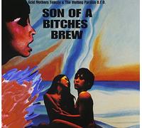 Acid Mothers Temple - Sons Of A Bitches Brew