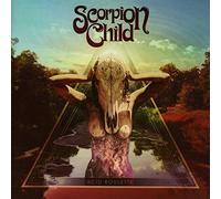 Acid Roulette by Scorpion Child