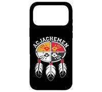 Acjachemen People Indigenous Native Medicine Wheel Case for iPhone 17 Pro Max