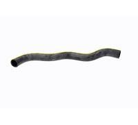 ACKOJA A26-0548 Radiator hose
