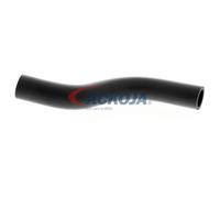 ACKOJA A26-1600 Radiator hose