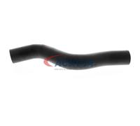 ACKOJA A26-1604 Radiator hose