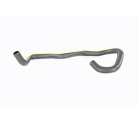 ACKOJA A37-0172 Radiator hose