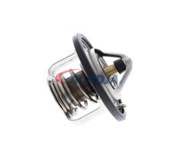 ACKOJA A37-99-0006 Thermostat