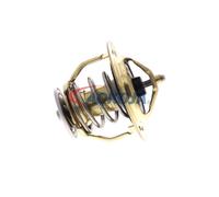 ACKOJA A37-99-0010 Thermostat