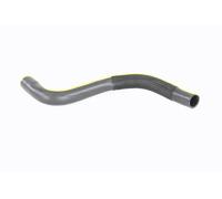 ACKOJA A38-0003 Radiator hose