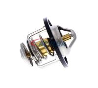 ACKOJA A38-99-0003 Thermostat