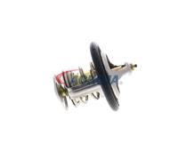 ACKOJA A38-99-0006 Thermostat