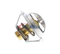 ACKOJA A38-99-0015 Thermostat