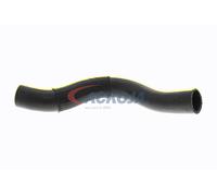 ACKOJA A52-1600 Radiator hose