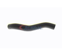 ACKOJA A52-1601 Radiator hose