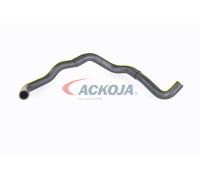 ACKOJA A52-1606 Radiator hose