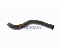 ACKOJA A52-1611 Radiator hose