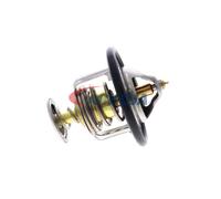 ACKOJA A52-99-0015 Thermostat