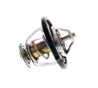 ACKOJA A53-99-0011 Thermostat